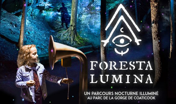 image-promo-foresta-lumina